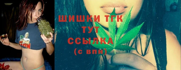 бошки Слюдянка