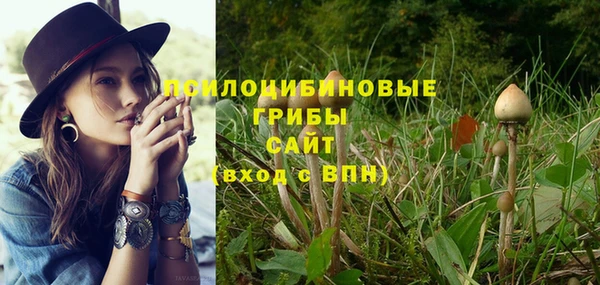 метадон Арсеньев