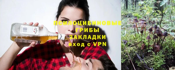 метадон Арсеньев