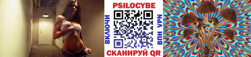 Галлюциногенные грибы MAGIC MUSHROOMS  где продают   Инсар 